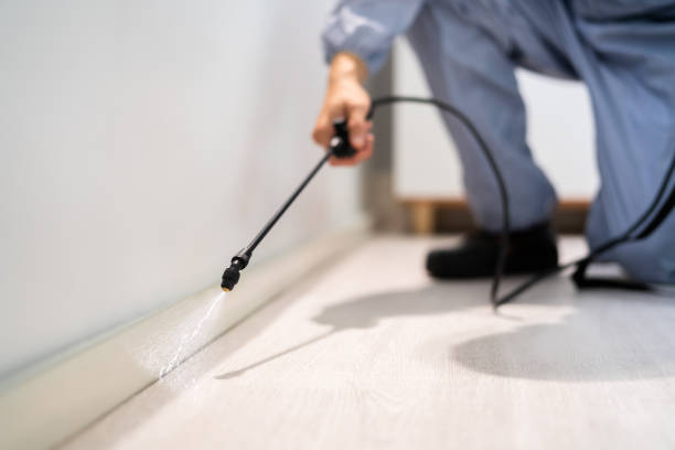 Licensed Pest Control service in Columbus, MT - Show Me Pest Control