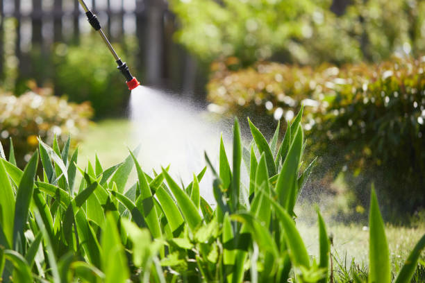 24/7 Emergency Wasp Removal experts in Columbus, MT