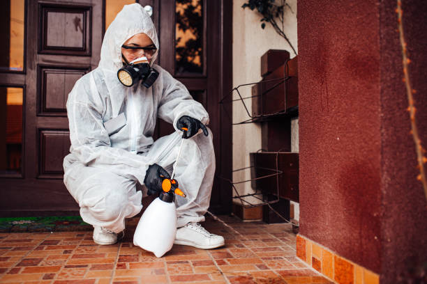 Reliable Wasp Removal contractor in Columbus, MT by Show Me Pest Control
